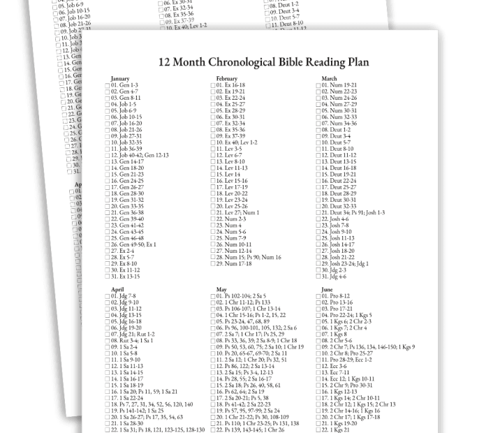 12 Month Bible In A Year Reading Plan Printable Pdf The Faith Space