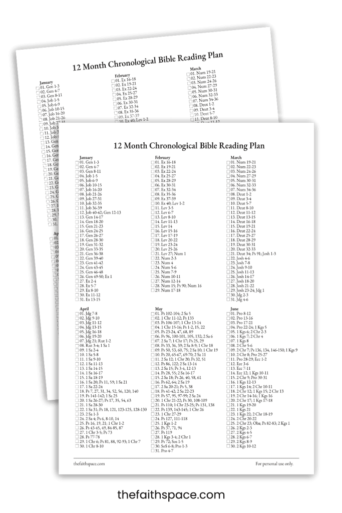 12 Month Bible In A Year Reading Plan Printable Pdf The Faith Space