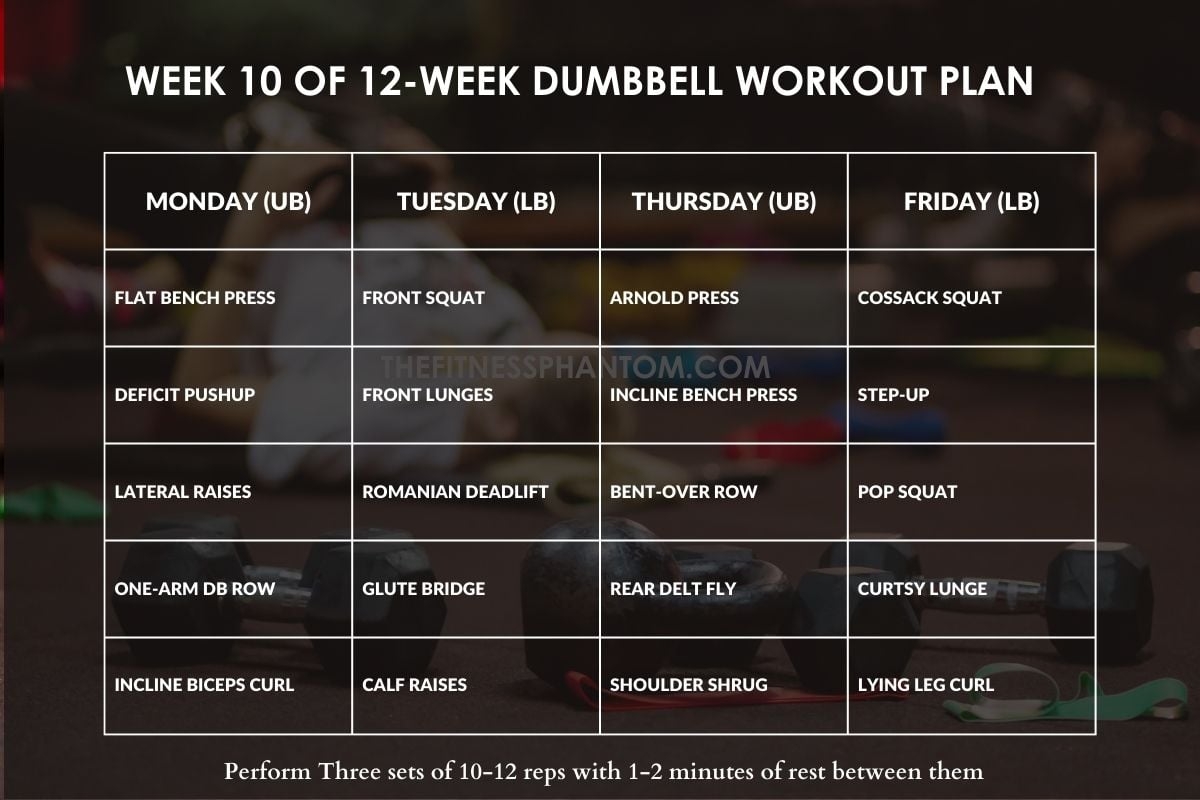12 Week Dumbbell Workout Plan Pdf Beginner Pdf Infoupdate