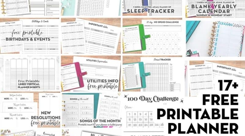 17 Free Printable Planner Pages Lovely Planner