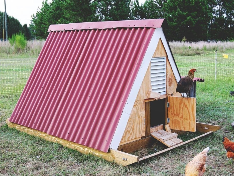 19 EASY A Frame Chicken Coop Plans