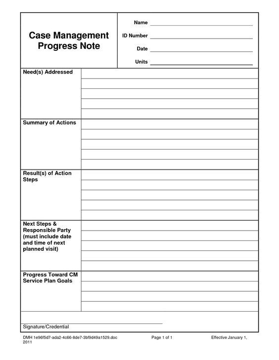 20 Case Management Plan Template Simple Template Design