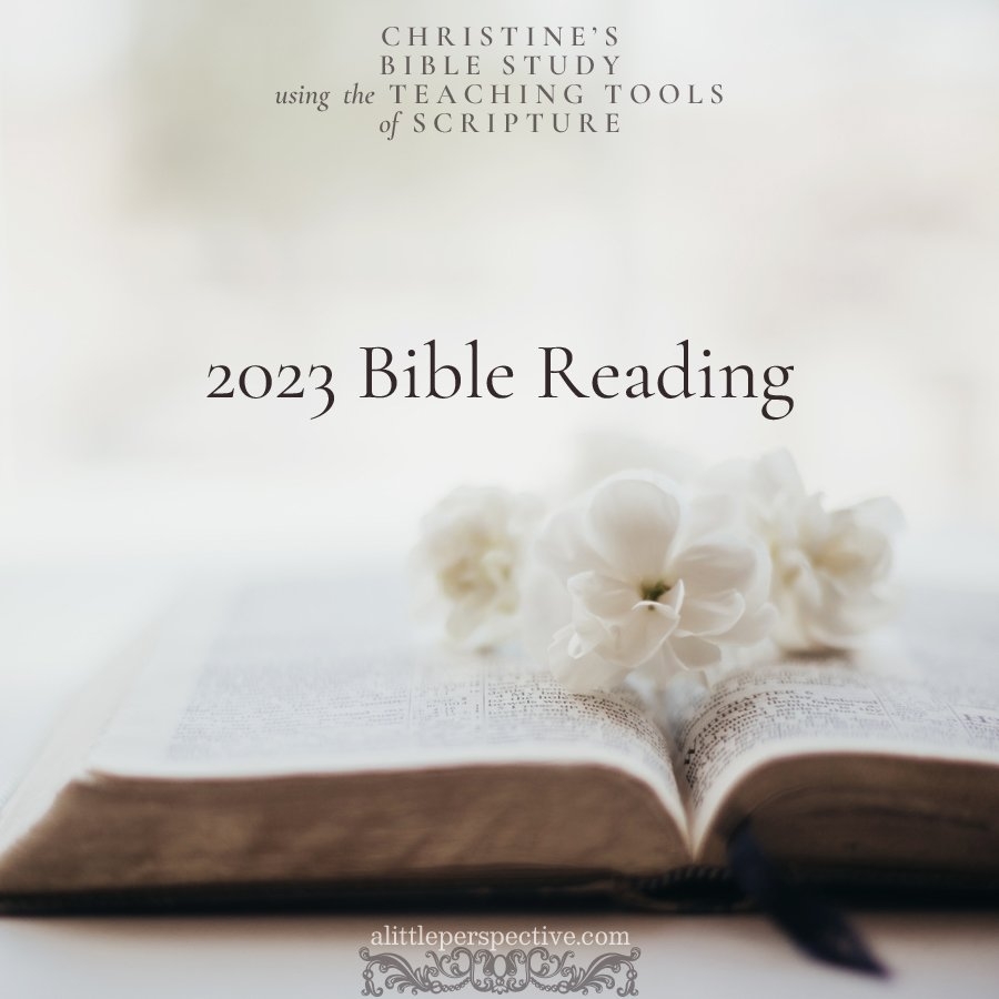 2023 Bible Reading Plan