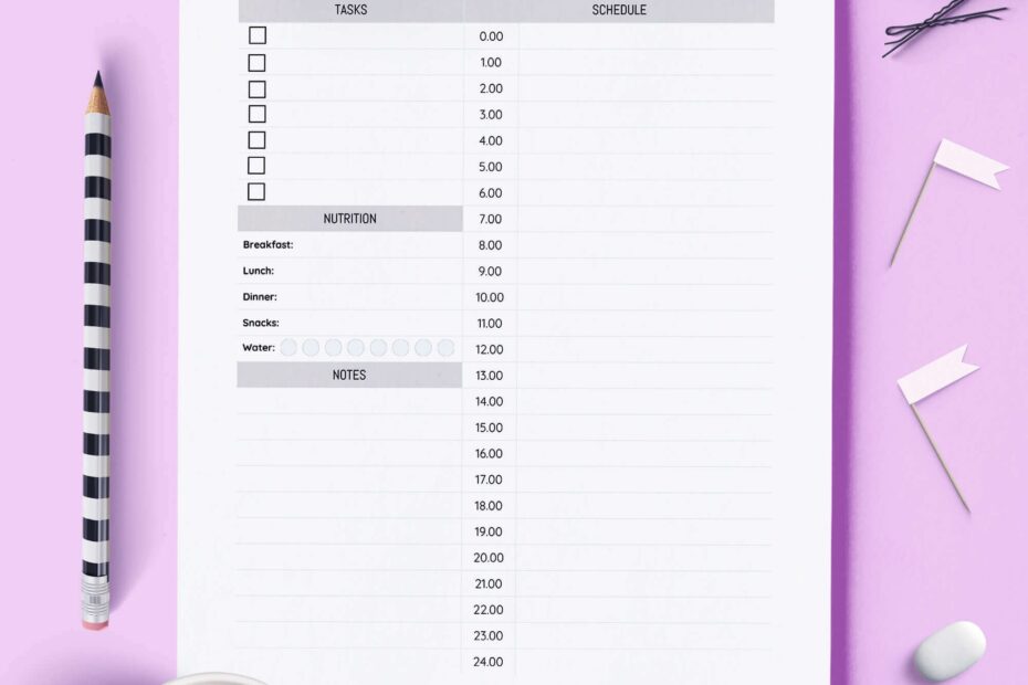 24 Hour Daily Planner Printable ShineSheets