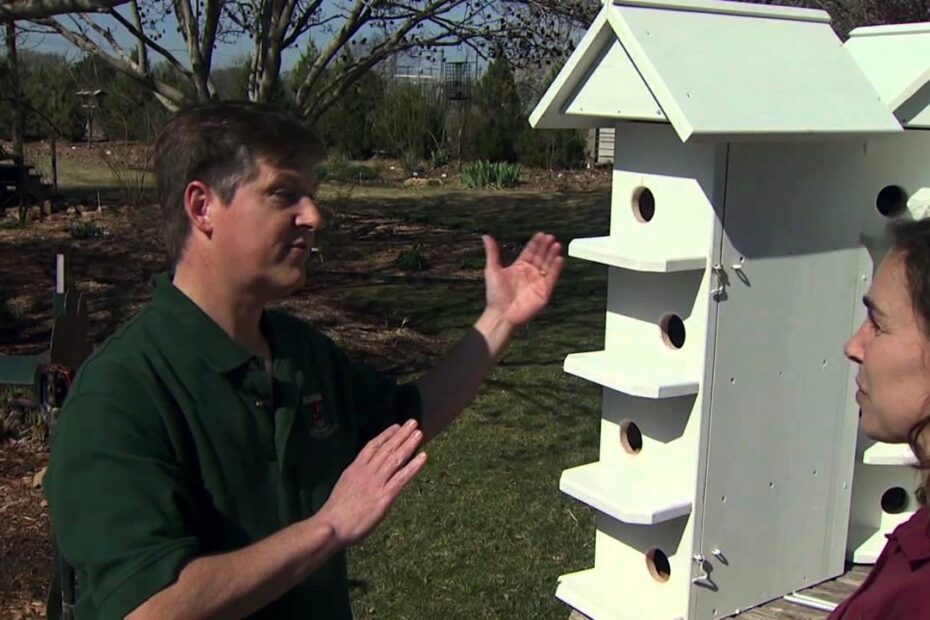 33 Beautiful Purple Martin Bird House Plan Wallpaper Floor Plan