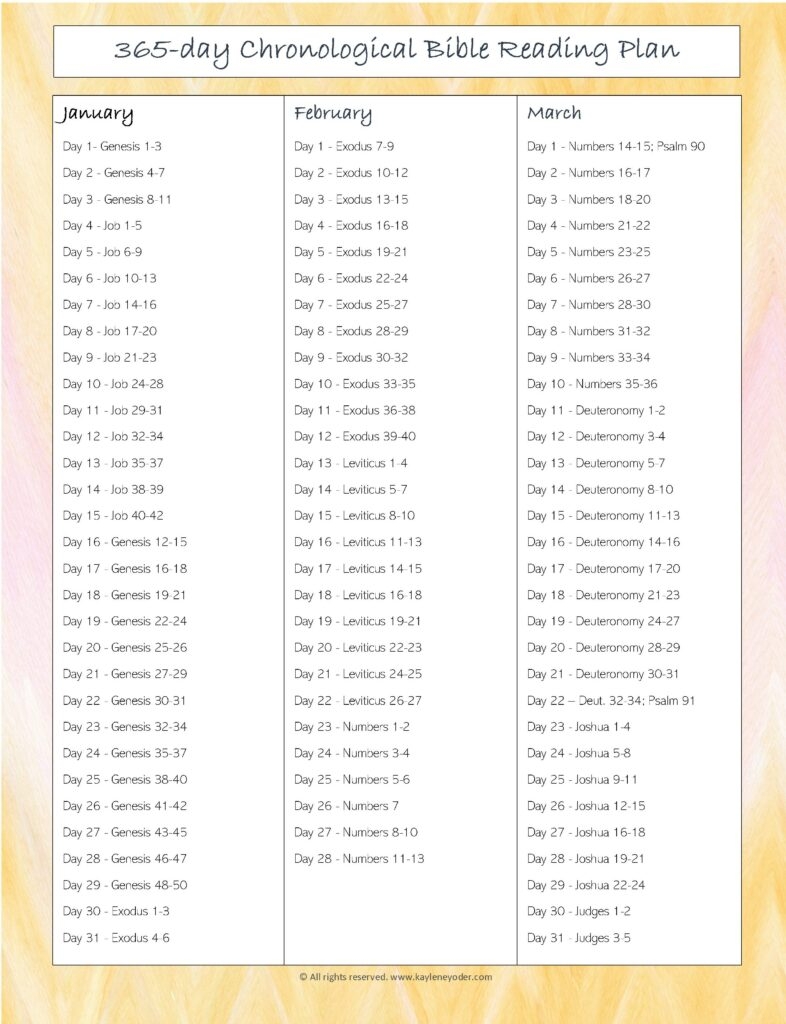 365 Day Bible Reading Plan Printable