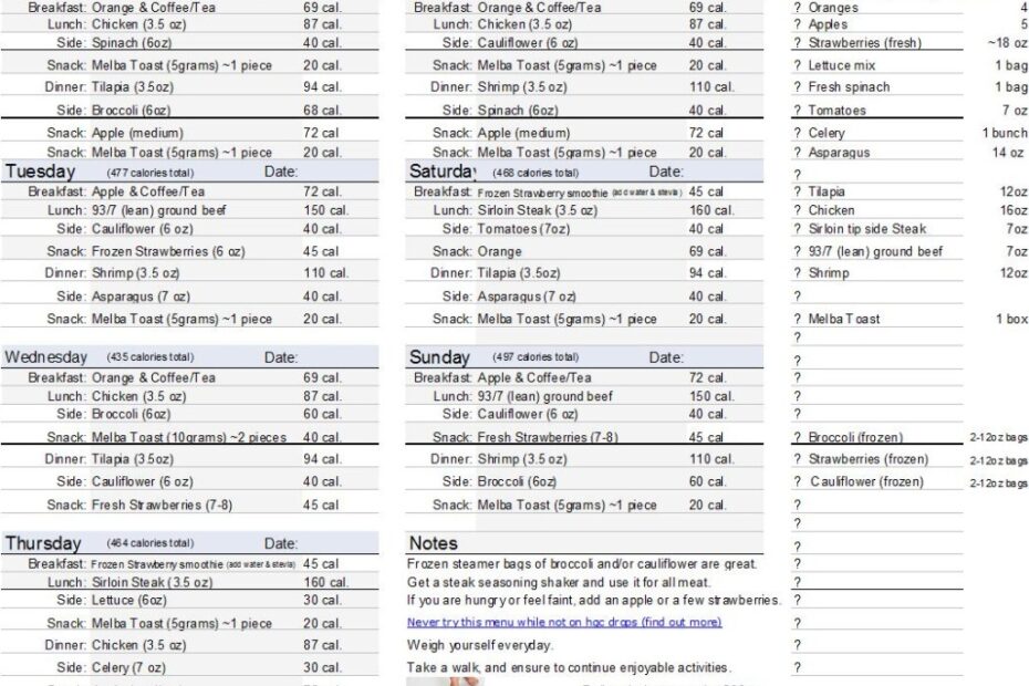 500 Calories A Day To Lose Weight HCG Plan Printable Menu