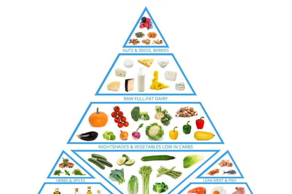 7 Day Meal Plan Keto Printable Keto Food List Printable Word Searches