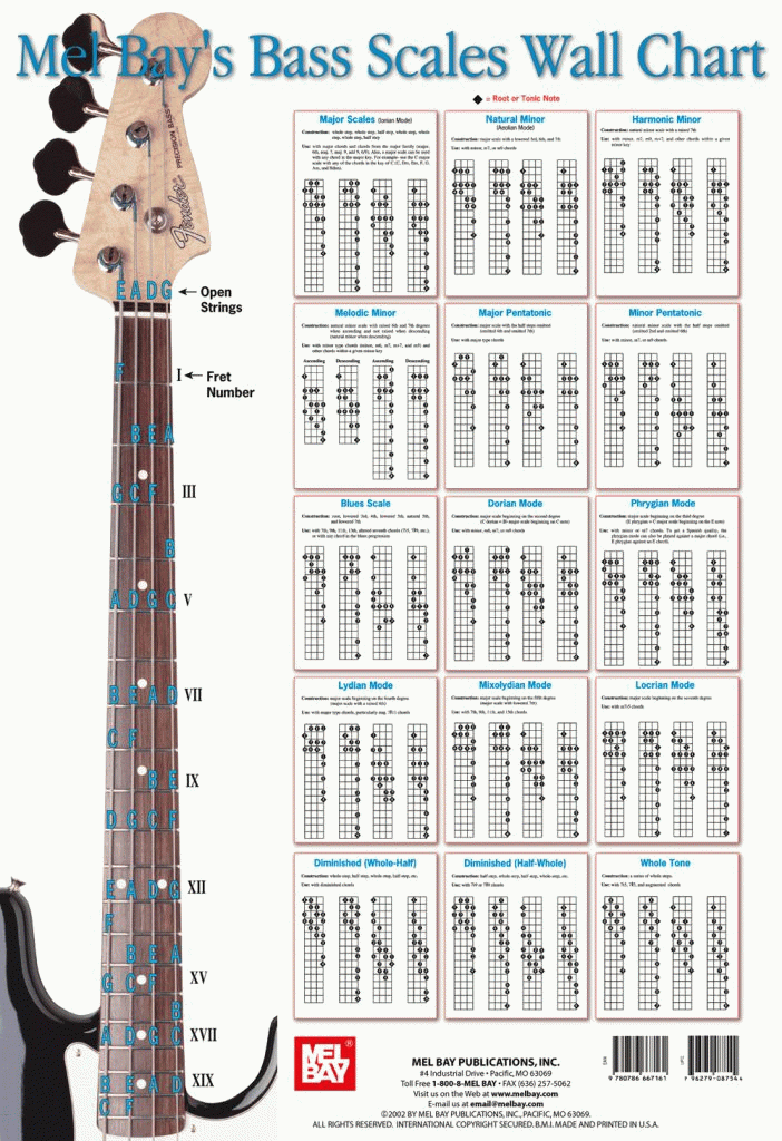 Bass Scales Wall Chart Gif File Bass Guitars In 2019 Bass Free 