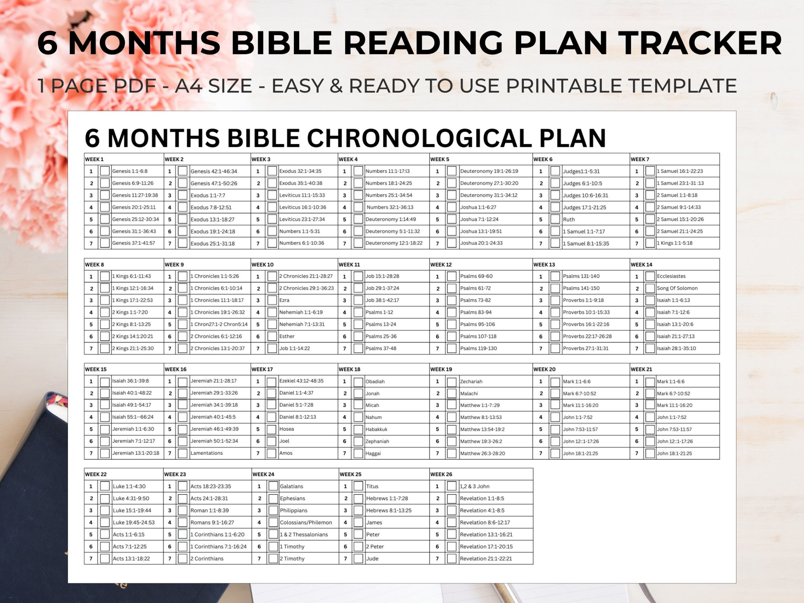 Bible Reading Tracker 6 Months Bible Study Plan Chronological Bible 
