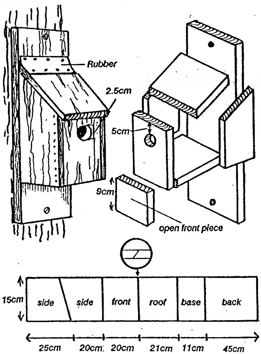 Bird Box Plans Pdf