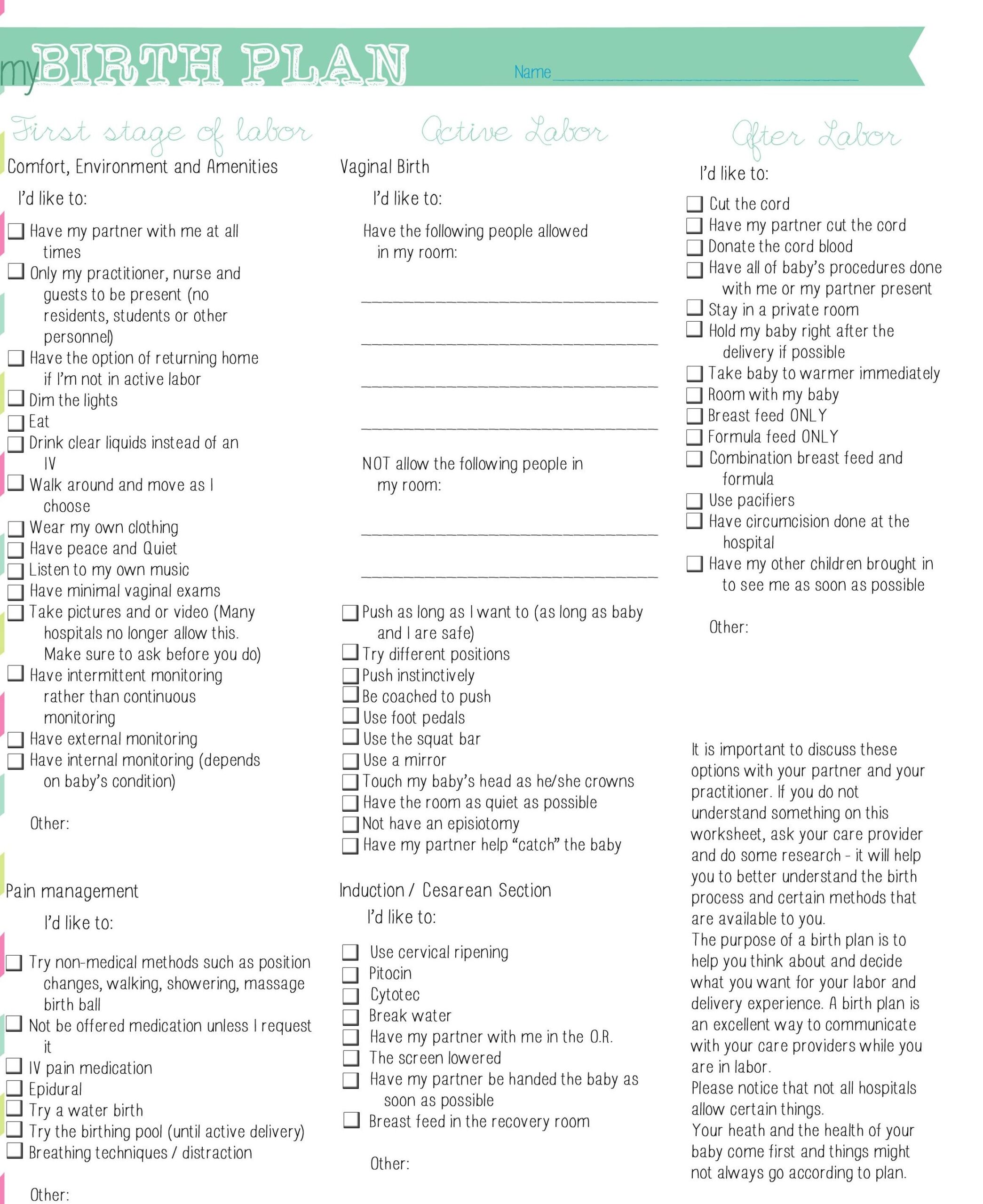 Birth Plan Form Printable Printable Forms Free Online