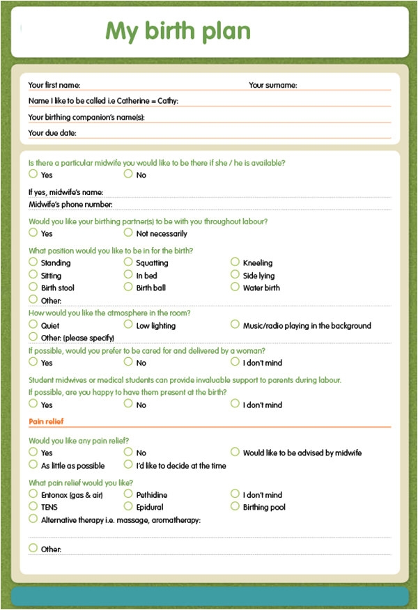 Birth Plan Form Printable Printable Forms Free Online