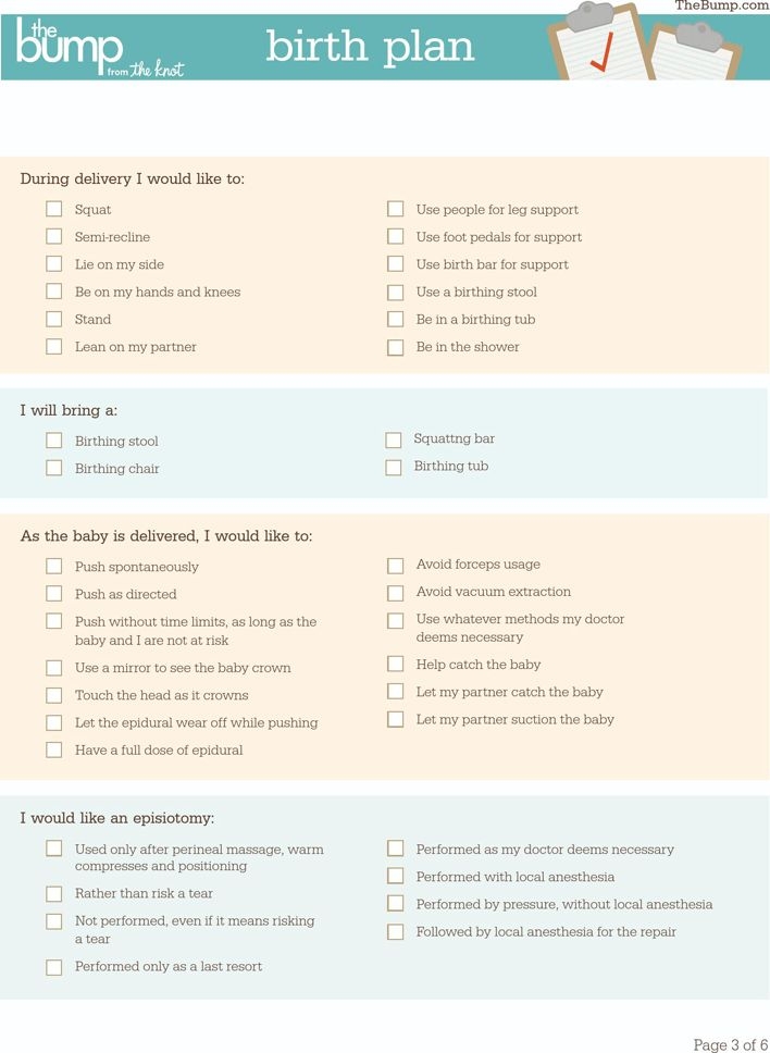 Birth Plan Form Printable Printable Forms Free Online