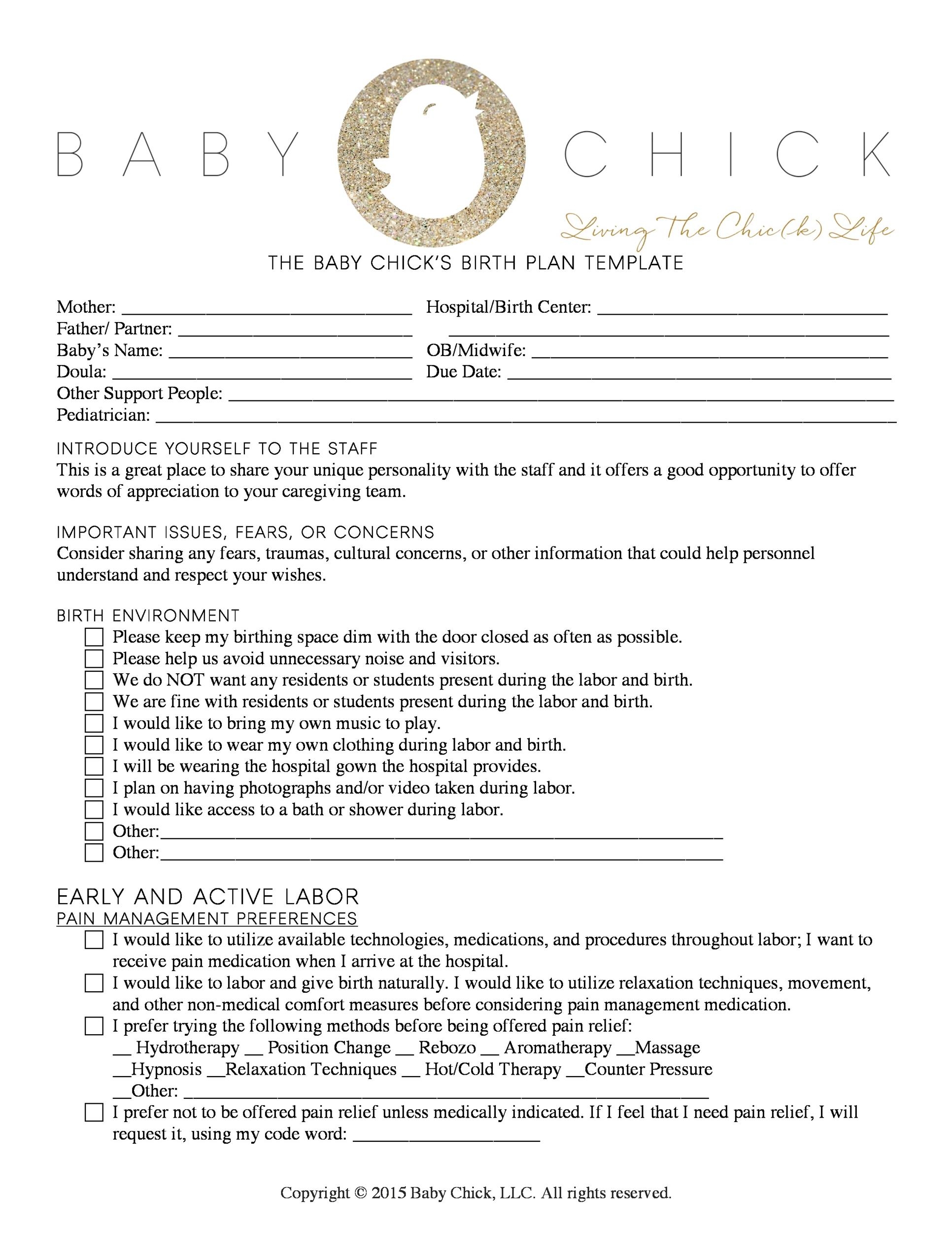Birth Plan Form Printable Printable Forms Free Online