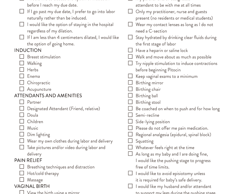 Birth Plan Form Printable Printable Forms Free Online