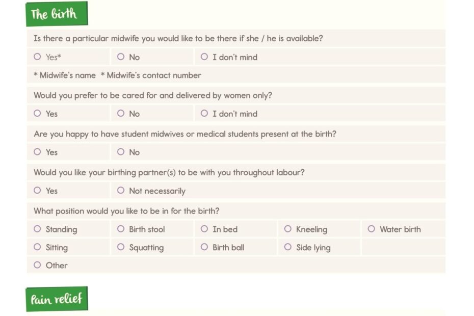 Birth Plan Form Printable Printable Forms Free Online