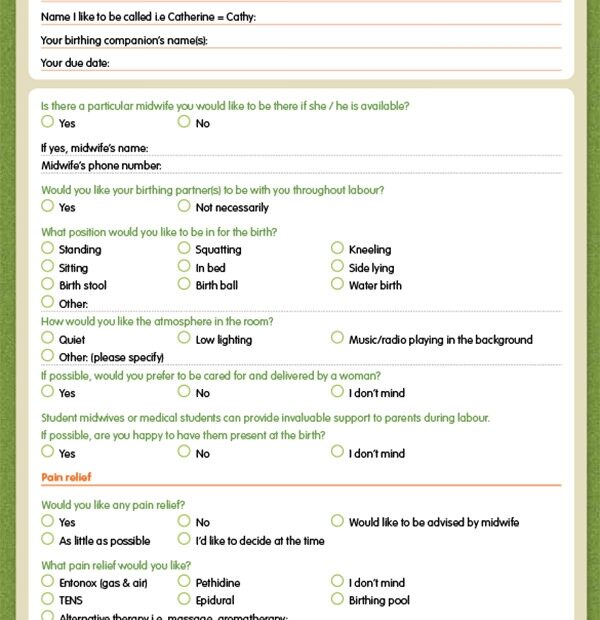 Birth Plan Template Printable