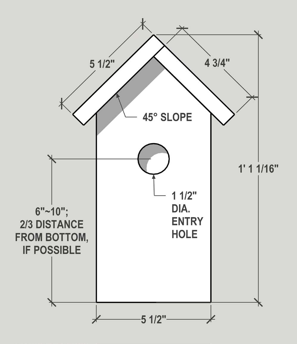 Bluebird House Plans How To Build A Simple DIY Bluebird 56 OFF
