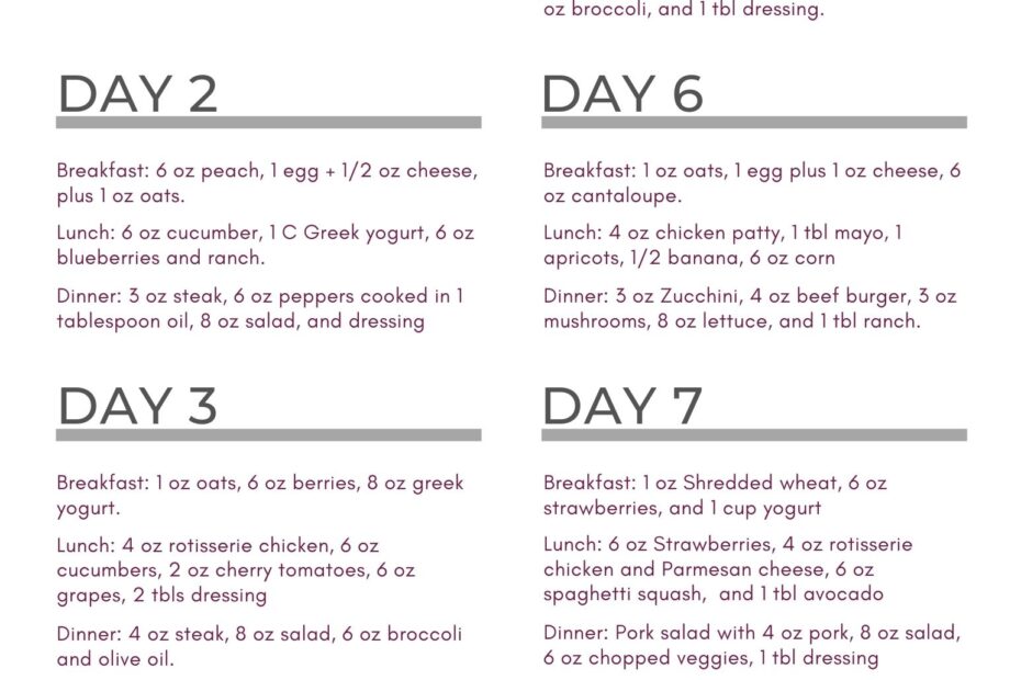 Bright Line Eating Plan Printable