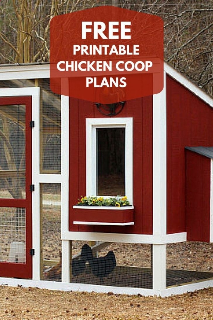 Build A Custom Chicken Coop With Free Printable Plans From Hgtv Free 