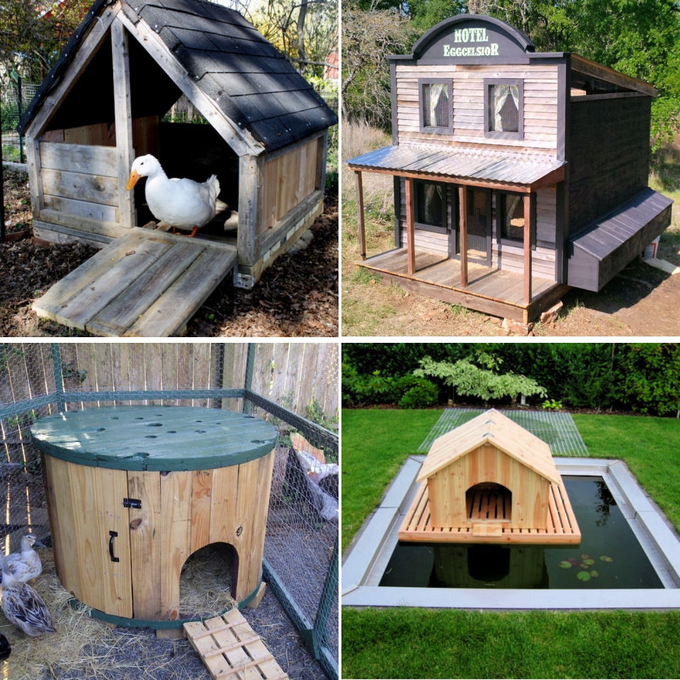 Build Your Own Duck House Free Wood Duck House Plans Houseplanstory
