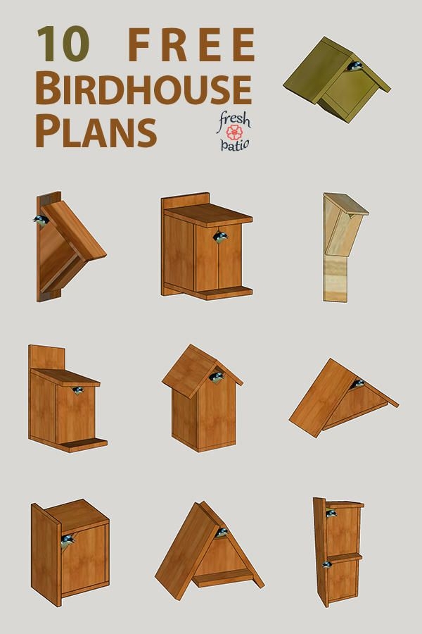 Cardinal Birdhouse Plans Free Printable Printable Bird House Plans My 