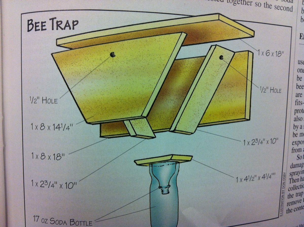 Carpenter Bee Trap Plans Printable Dev onallcylinders