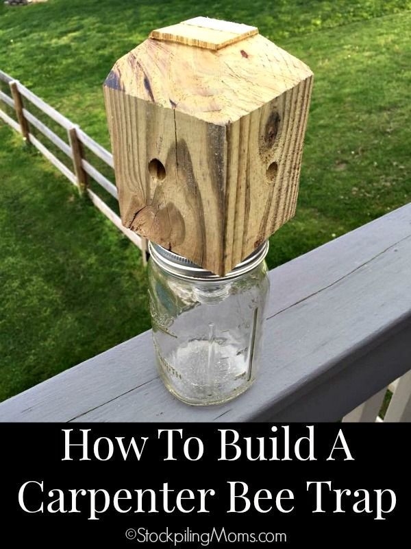 Carpenter Bee Trap Plans Printable Dev onallcylinders