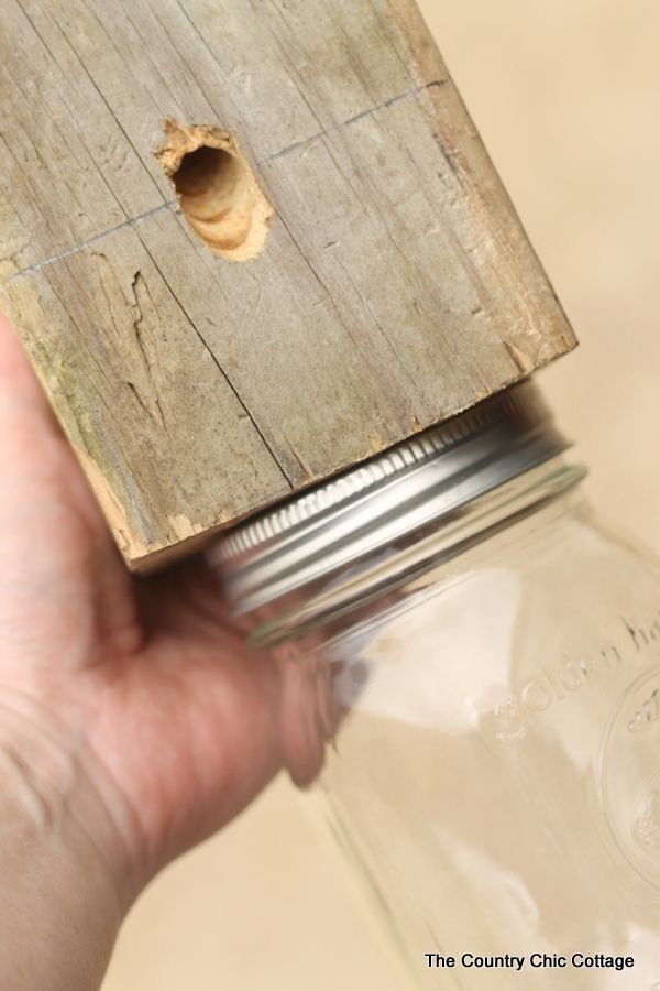 Carpenter Bee Trap Plans Printable Dev onallcylinders