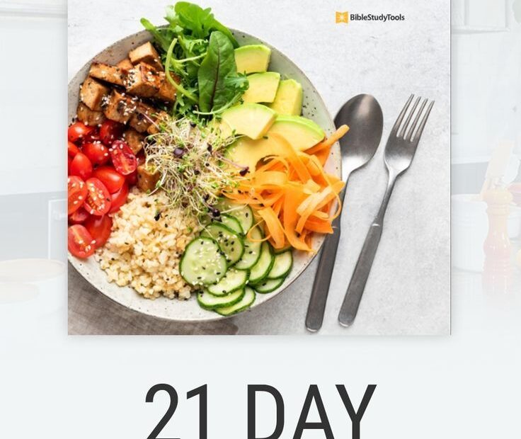 Dig In 21 Day Daniel Fast Prayer Guide Meal Plan