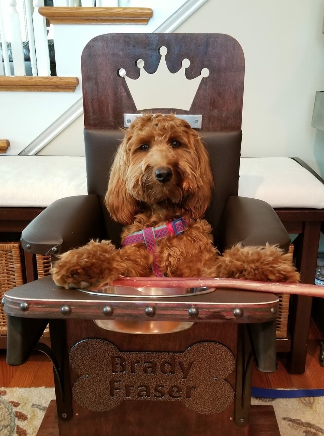 Dog Bailey Chair Printable Plans Dev onallcylinders