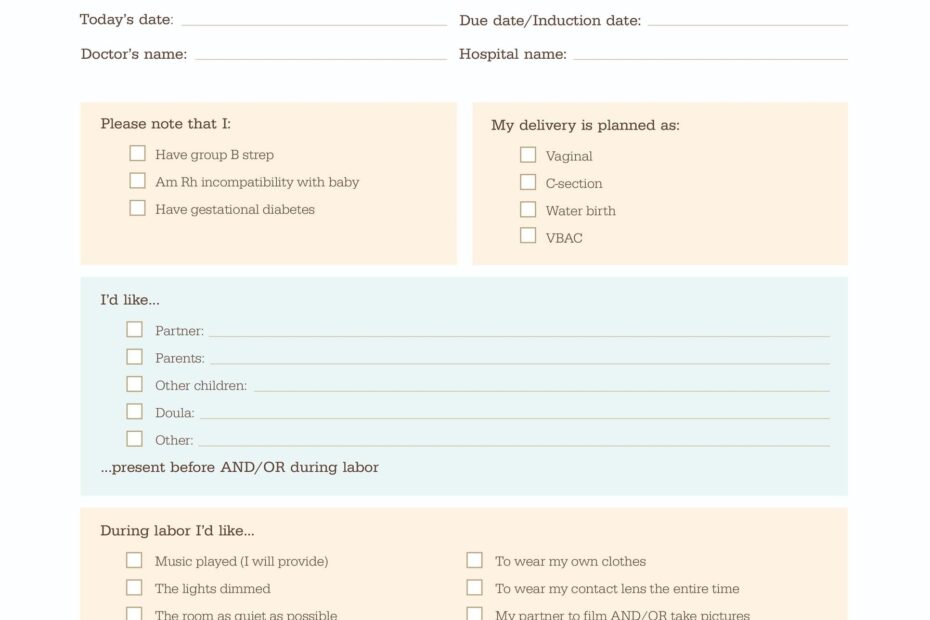 Downloadable Printable Editable Birth Plan Template Printable Templates
