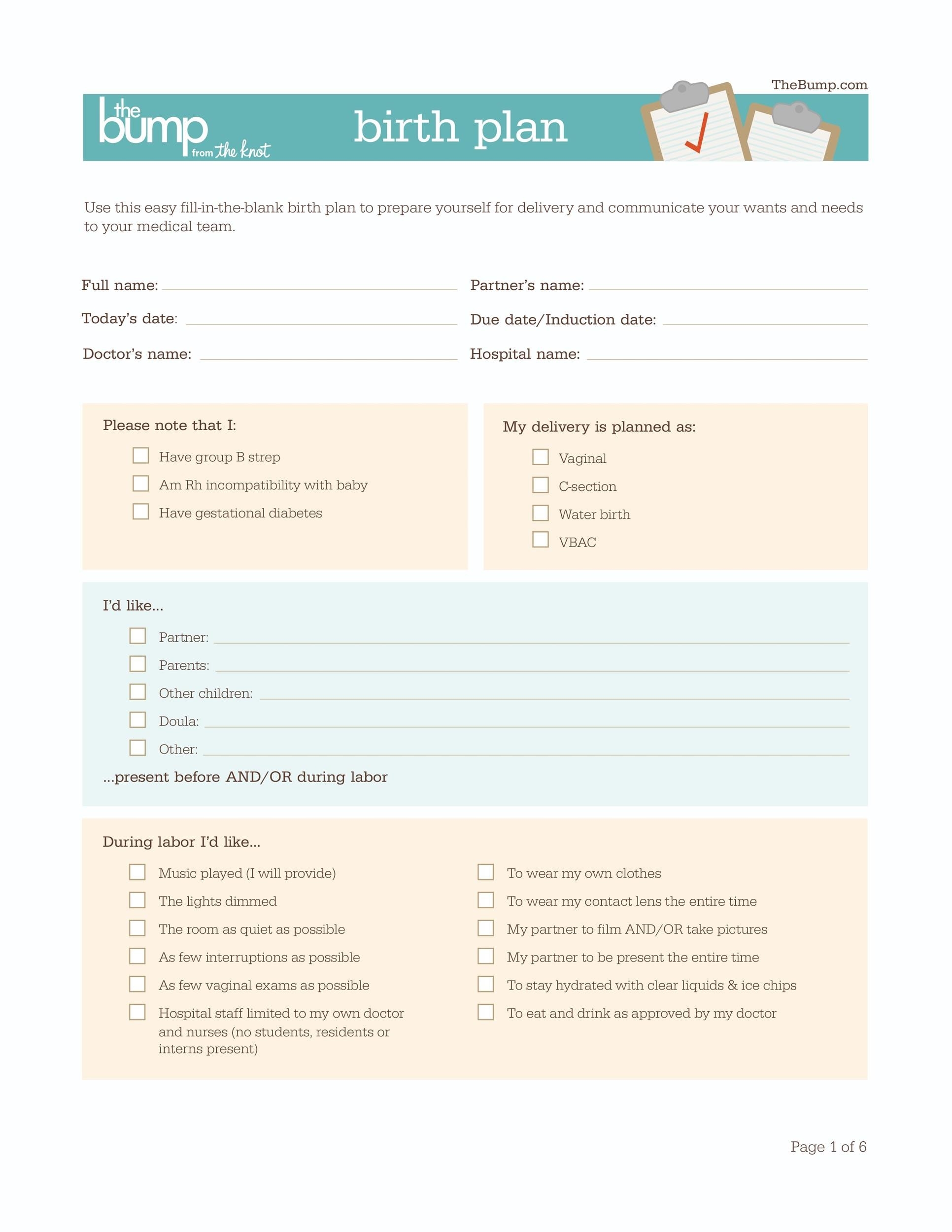Downloadable Printable Editable Birth Plan Template Printable Templates