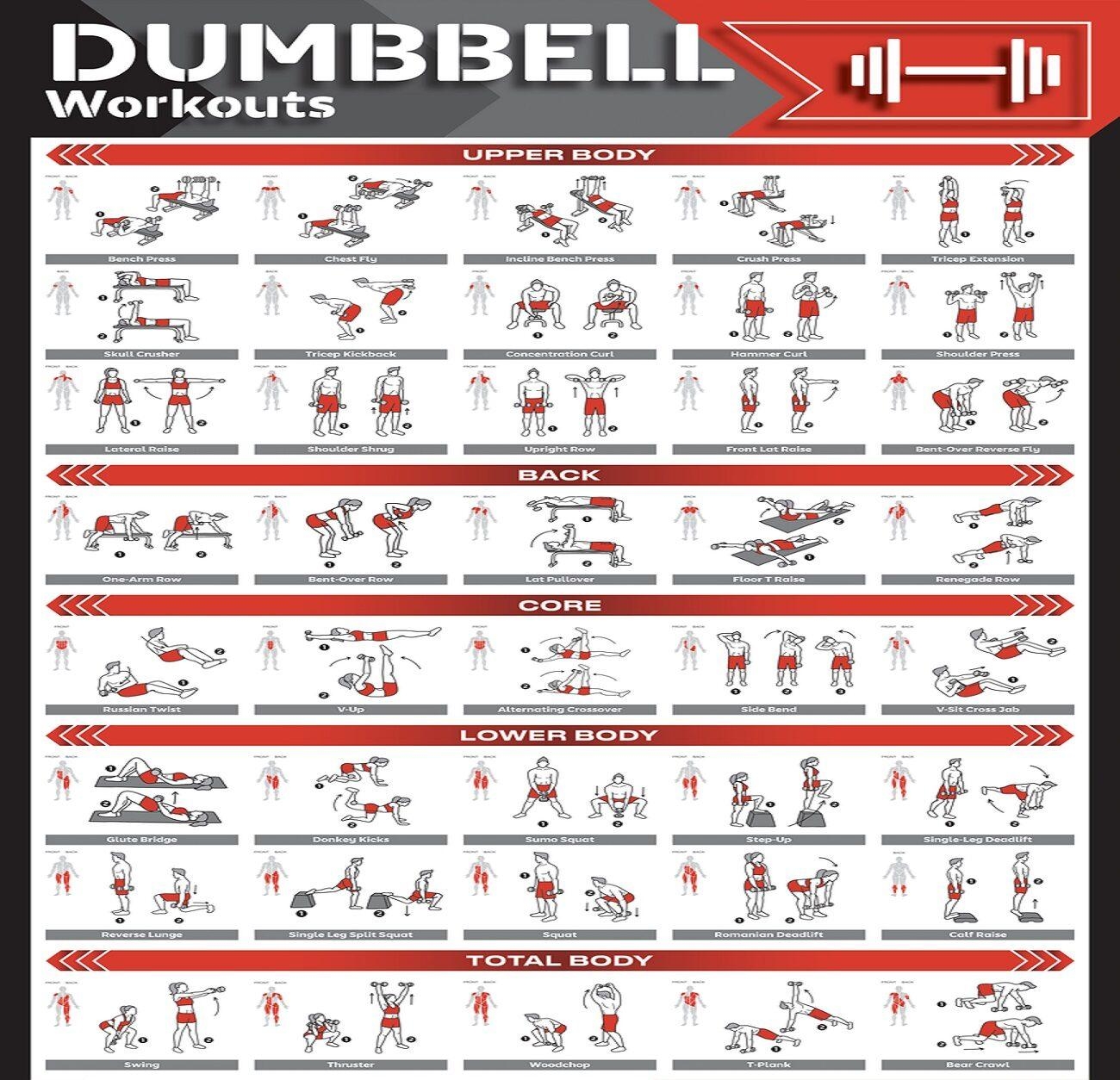 Dumbbell Workout Plan Pdf Infoupdate
