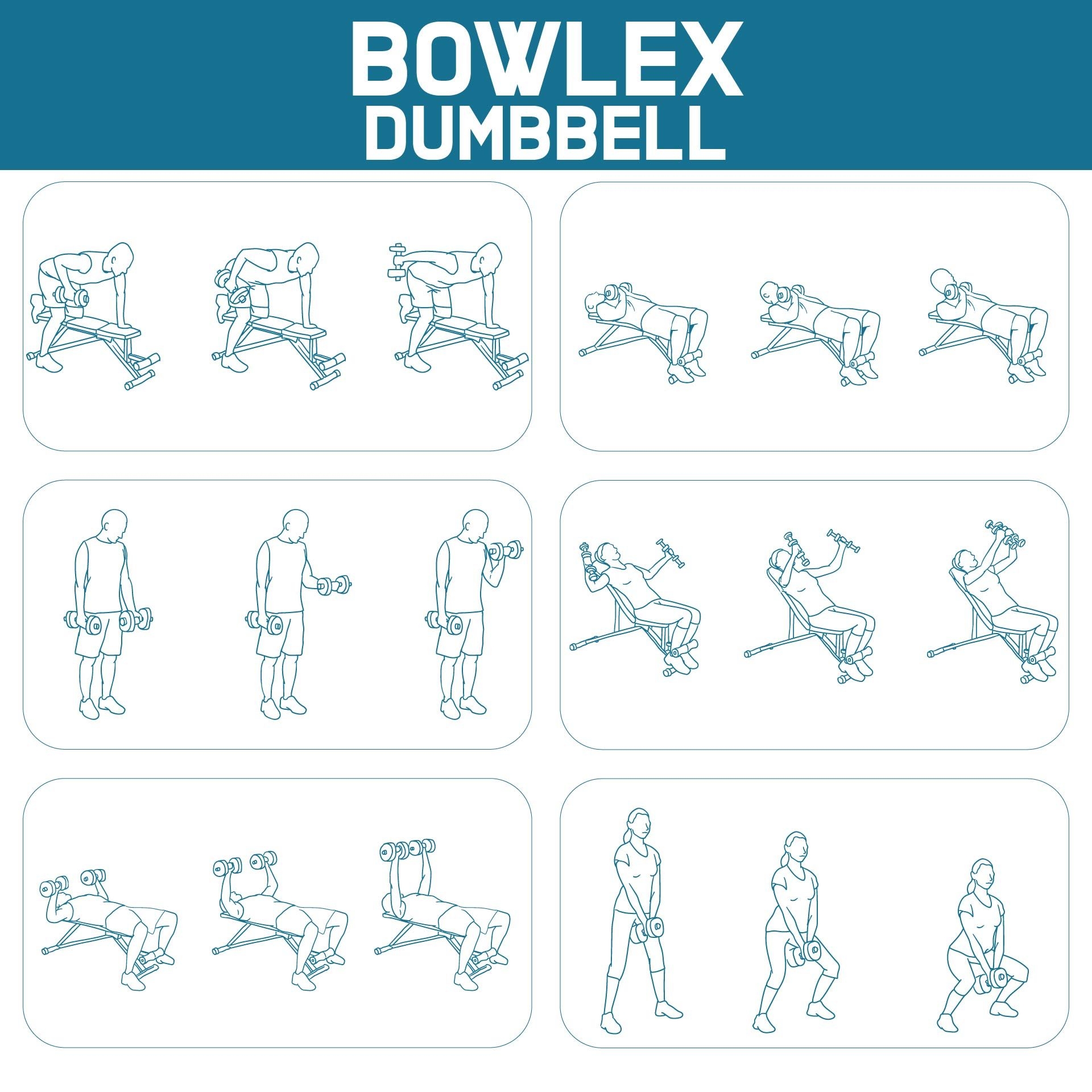 Dumbbell Workout Poster 10 Free PDF Printables Printablee 