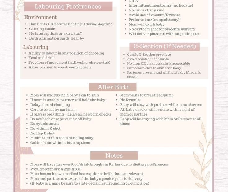 Editable Birth Plan Template Printable Birthing Plan Labour And