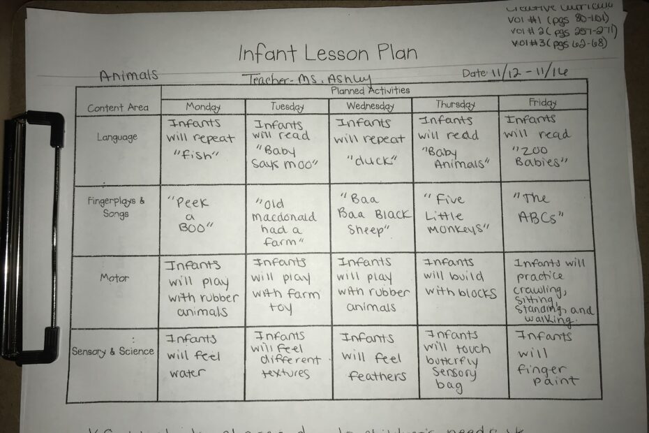 Explore The Animal Kingdom With Our Infant Lesson Plan