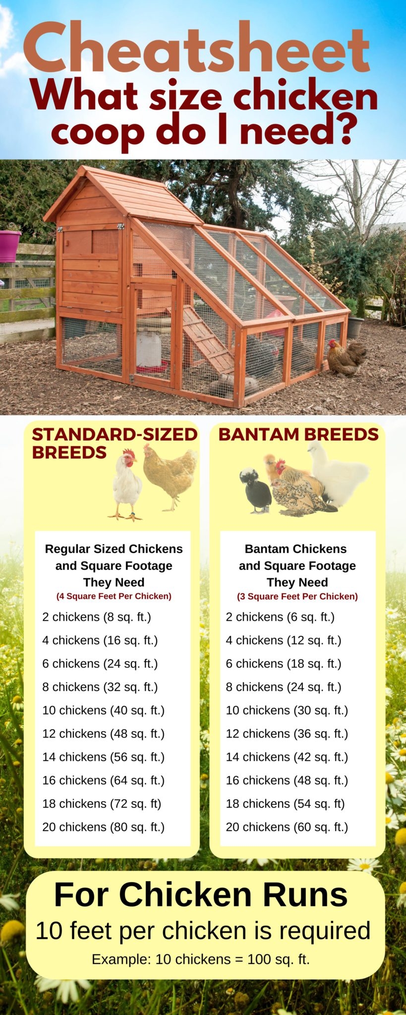 FREE 5 8 A Frame Chicken Coop Plan