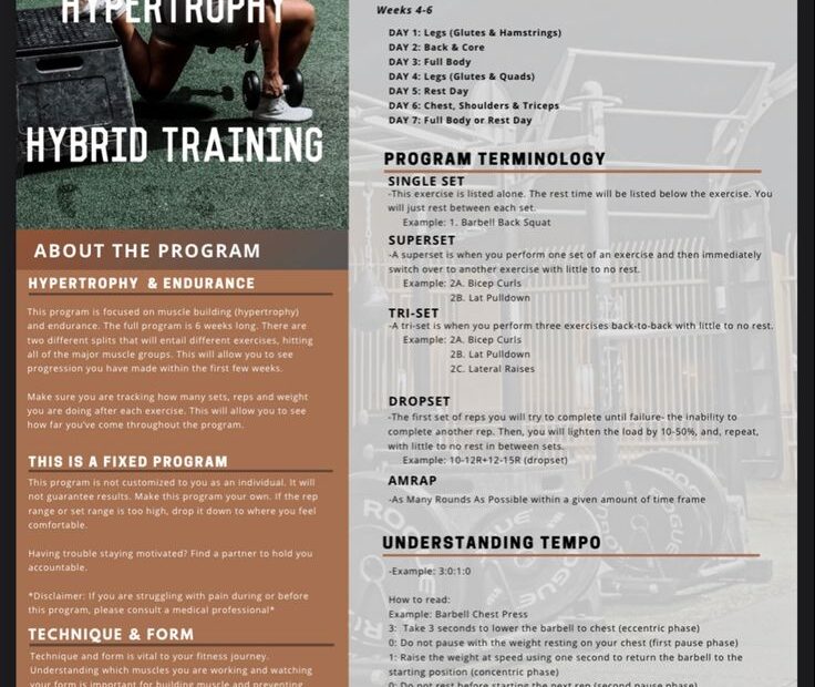 Free 6 Week Workout Guide PDF Workout Guide Back And Biceps 6 Week