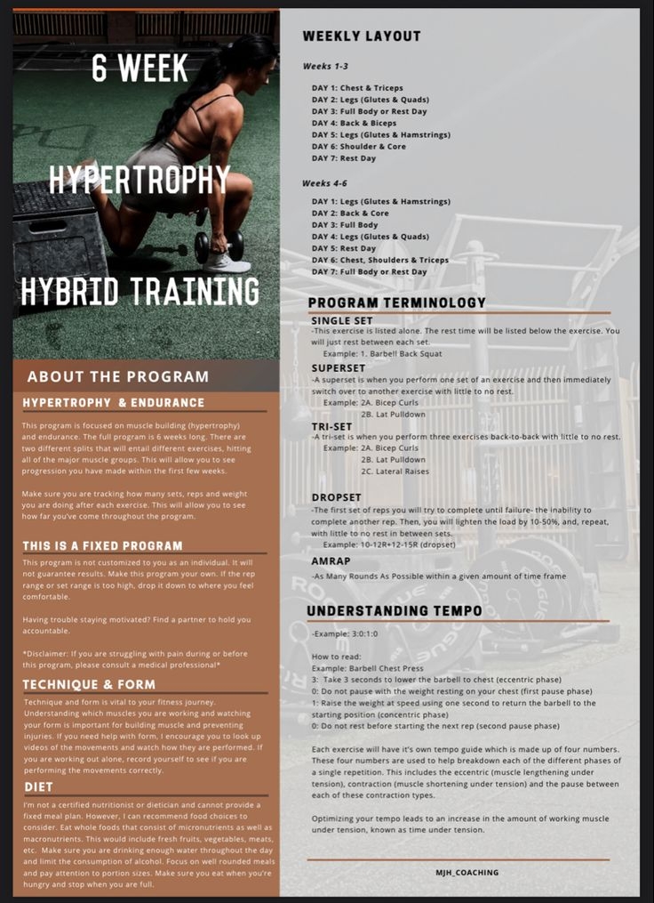 Free 6 Week Workout Guide PDF Workout Guide Back And Biceps 6 Week 