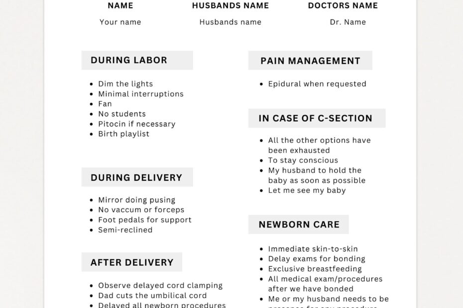Free Birth Plan Template PDF Word Worksheets Library