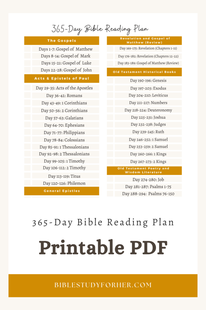 Free Printable 365 Day Bible Reading Plan PDF Download Bible Study 