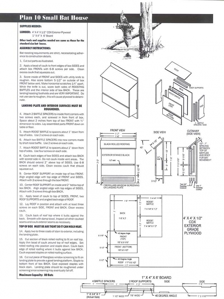 Free Printable Bat House Plans FREE Printable HQ