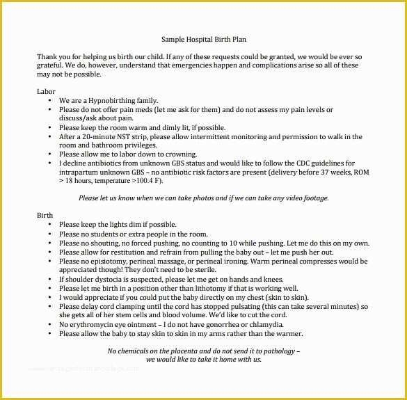 Free Printable Birth Plan Template Of 22 Sample Birth Plan Templates 