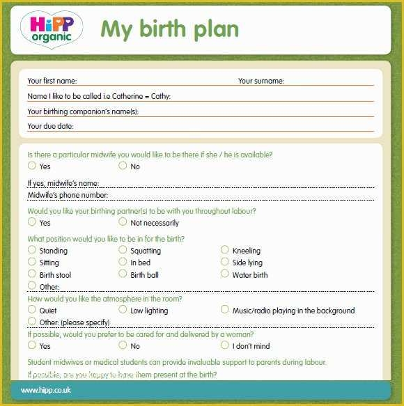 Free Printable Birth Plan Template Of 9 Birth Plan Templates Free 