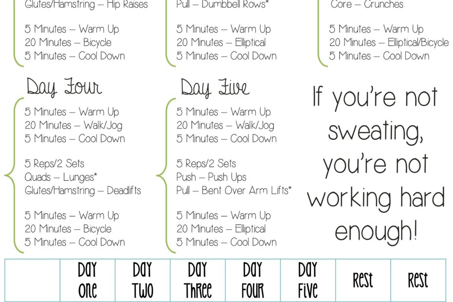 Free Printable Gym Workout Plans