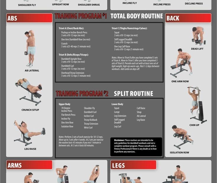 Free Printable Gym Workout Plans FREE Printable A Z