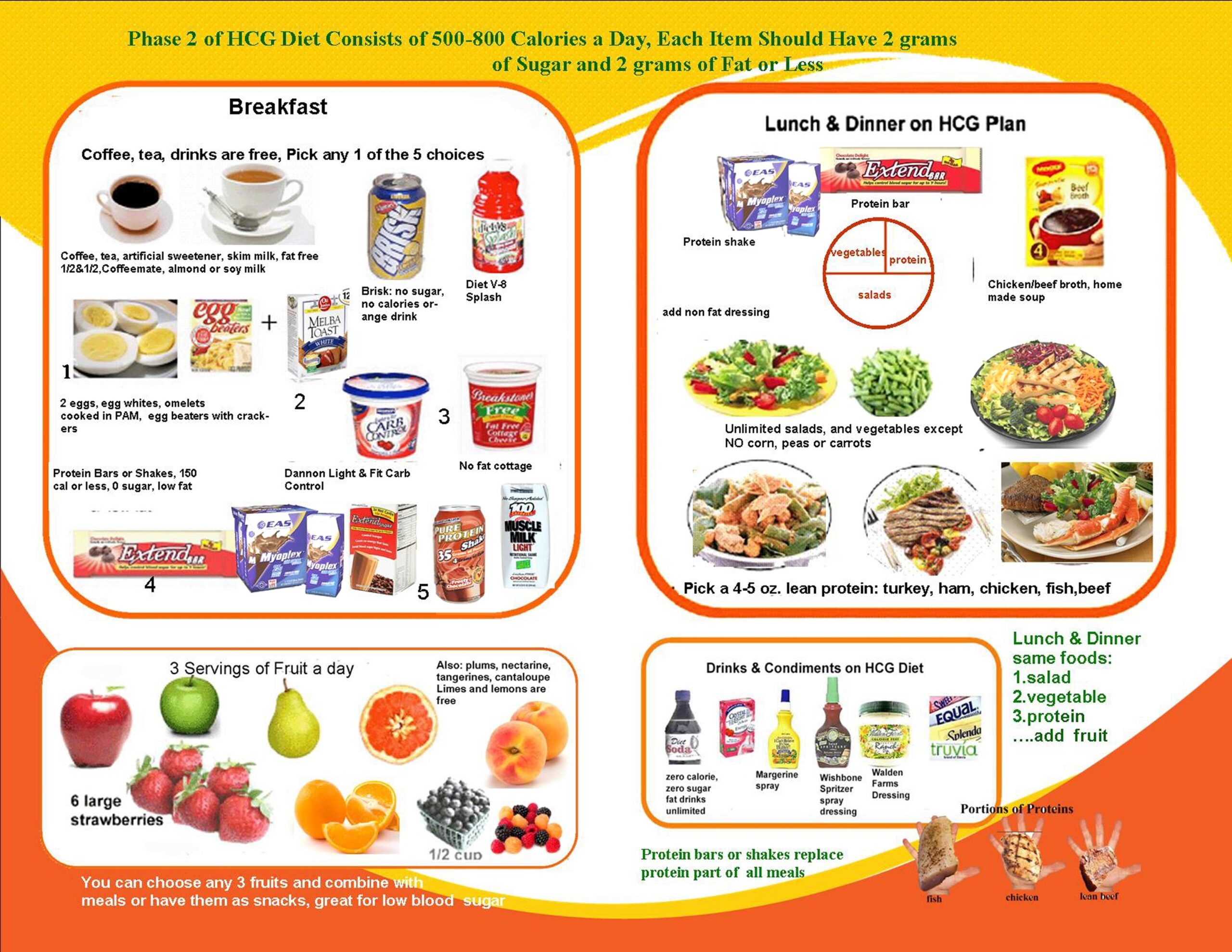 Hcg Printable Diet Plan Printable Word Searches