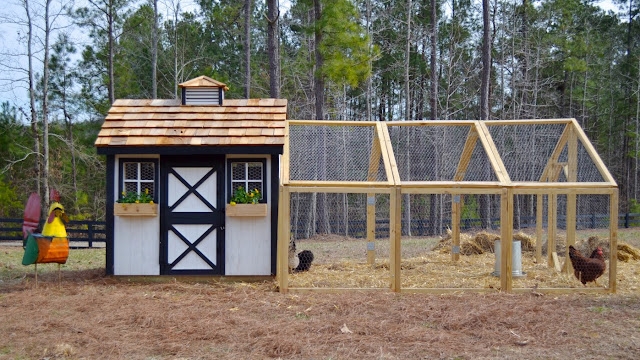 How To Build A Chicken Coop How To Build A Chicken Coop Free Easy 